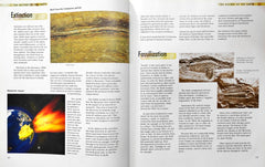 The Dinosaurs Compact Knowledge