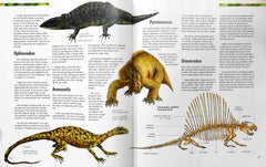 The Dinosaurs Compact Knowledge