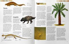The Dinosaurs Compact Knowledge