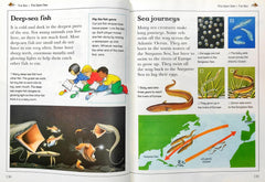 Kingfisher Learning Adventure Library