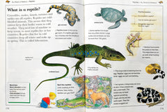 Kingfisher Learning Adventure Library