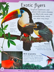 Birds