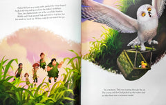 Disney Tinker Bell and the Secret of the Wings