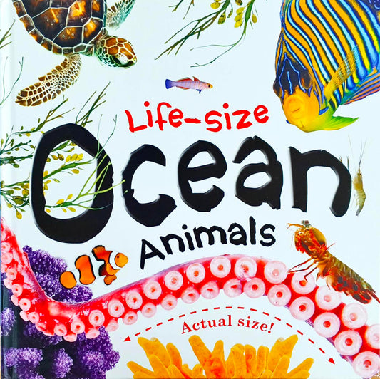 Life Size Ocean Animals