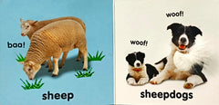 Baby Touch and Feel Farm