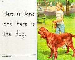 Play with Us (Key words Reading Scheme)
