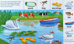 Animals on the Farm