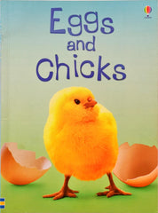 Usborne Eggs and Chicks (Usborne Beginners)