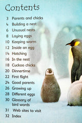 Usborne Eggs and Chicks (Usborne Beginners)