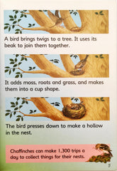 Usborne Eggs and Chicks (Usborne Beginners)