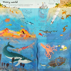 Usborne Look Inside Our World (Lift the Flap)