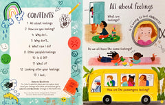 Usborne Questions and Answers About Feeling (Lift the Flap)