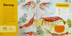 My First book of Sea Creatures and Minibeasts Combo (2 Books)