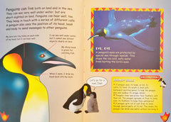 My Animal Kingdom Penguins