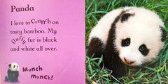 Baby Animals in the Wild
