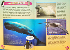 My Animal Kingdom Penguins