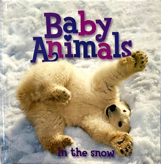 Baby Animals in the Snow