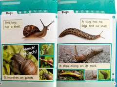 X Project Combo 5 (4 Books)