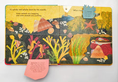 Who's Hiding of the Seaside? (Flap Book)