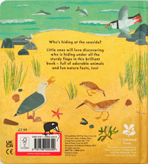 Who's Hiding of the Seaside? (Flap Book)