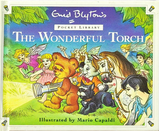 The Wonderful Torch (Enid Blyton)