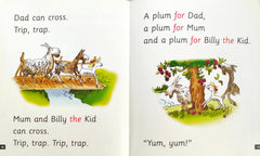Read Write Inc Set 3 (5 Books)