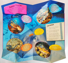 Ocean Dive (3 Giant Fold out Scenes)