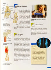 The Human Body (Facts)