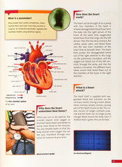 The Human Body (Facts)