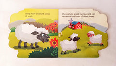 My First Shaped Board Book Sheep (Cut Book)