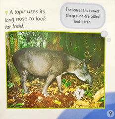 Rainforest Animals (I Know That)