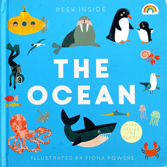 The Ocean (Lift the Flaps)
