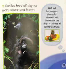 Rainforest Animals (I Know That)