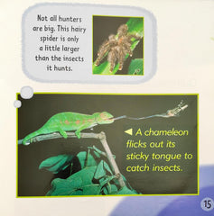 Rainforest Animals (I Know That)