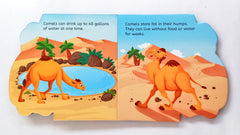 My First Shaped Board Book Camel (Cut Book)