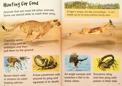 Usborne Dangerous Animals (Usborne Beginners)