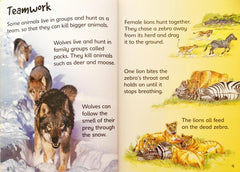 Usborne Dangerous Animals (Usborne Beginners)