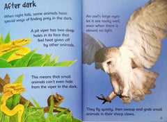 Usborne Dangerous Animals (Usborne Beginners)