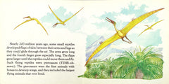 Sea Reptiles and Flying Reptiles