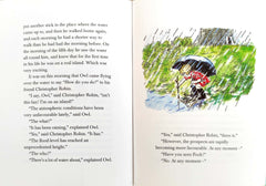 Winnie the Pooh Story Book Combo 3 (4 books)