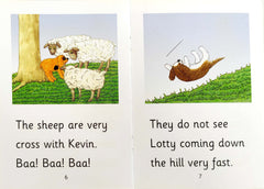 Learn to Read Phonics Combo (5 Books)