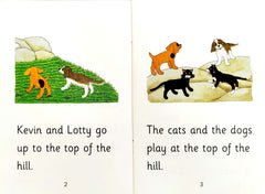 Learn to Read Phonics Combo 2 (4 Books)