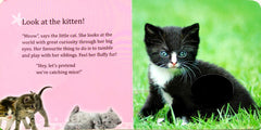 My Touch and Feel Book - Baby Animals