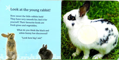My Touch and Feel Book - Baby Animals
