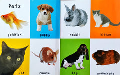 First 100 Animals