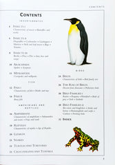 Animals (Invertibrates, Fish, Repitiles and Birds)