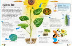 Disney Plants are Amazing! The Wonderful World Of Knowledge
