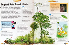Disney Plants are Amazing! The Wonderful World Of Knowledge