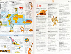 The Usborne Illustrated Dictionary