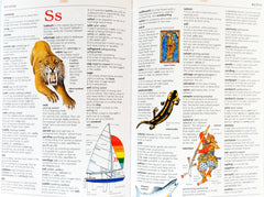 The Usborne Illustrated Dictionary